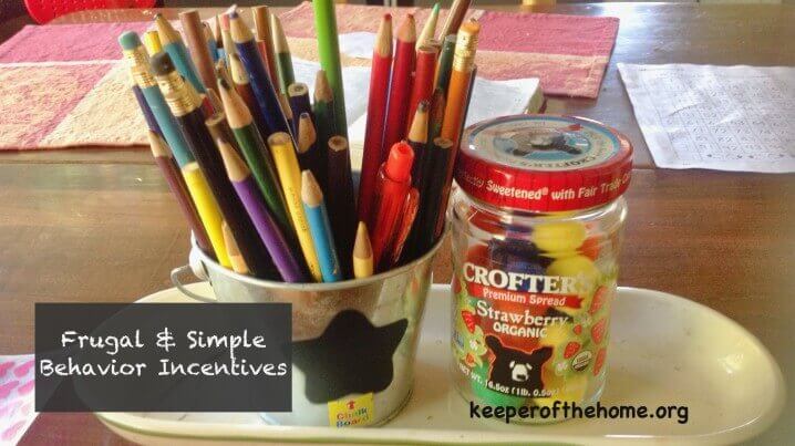 Looking to ditch chore charts? Check out these frugal and simple behavior incentives!