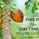 The Fake Food You Don't Know You're Eating (Part 1) 10