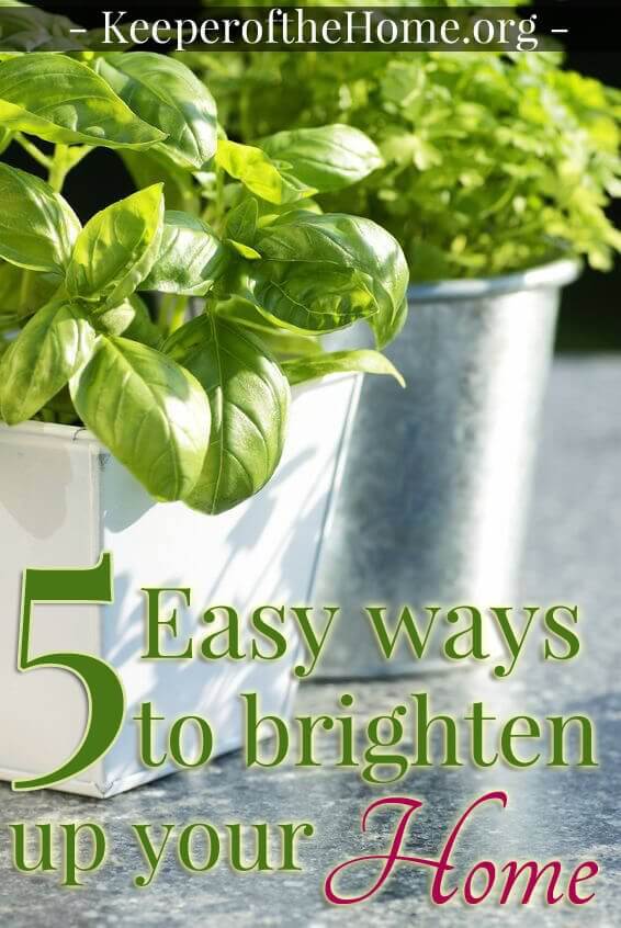 I've found that with just a few plants (and some intentional planning) I can drastically brighten up and improve my home and my mood! With just a few simple steps, you can purify your air, grow your own herbs, produce a vegetable and fruit garden and even have some wintertime flowers. It doesn't take very much time at all!