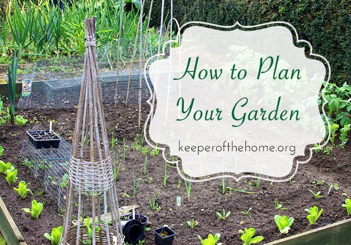 How to Plan Your Garden 6