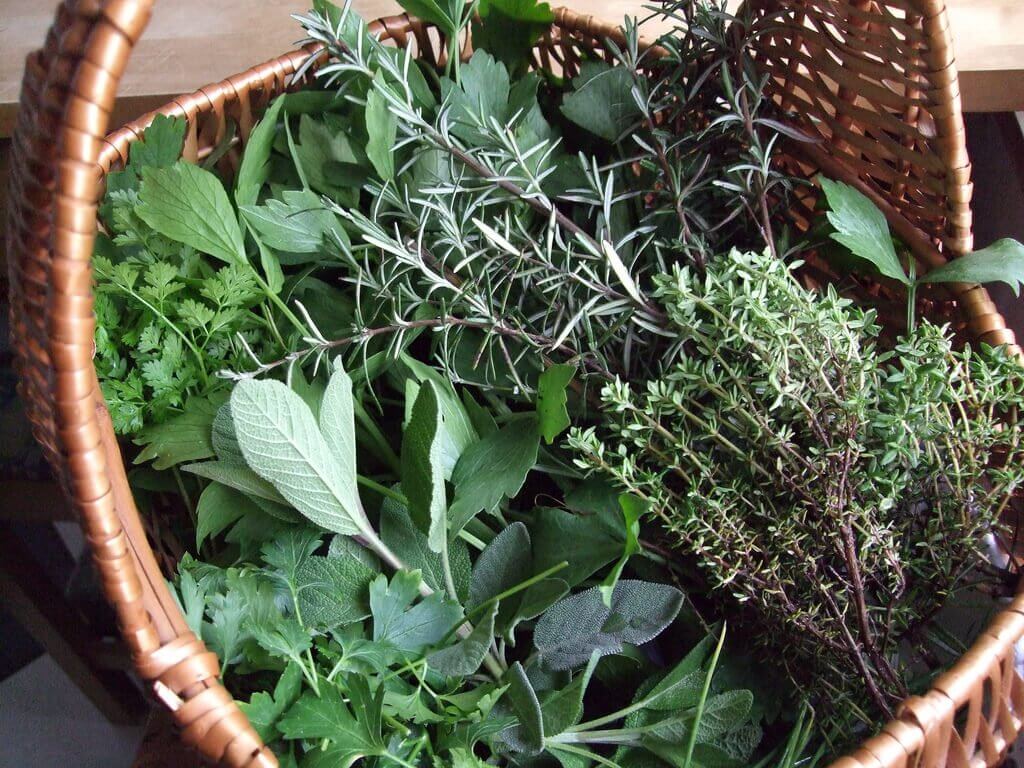 The Wonderful World of Herbs