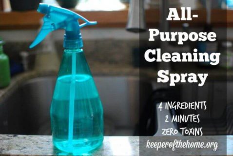 DIY All-Purpose Cleaning Solution - Keeper of the Home