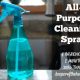 DIY All-Purpose Cleaning Solution