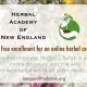 The Wonderful World of Herbs (Herbal Academy Review & Giveaway!)