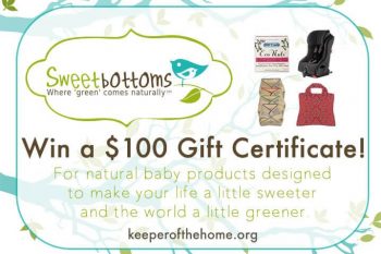 Making it Easier to Take Healthy Snacks On the Go! (Win a0 Gift Certificate to Sweetbottoms Baby)