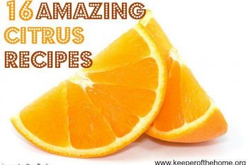16 Amazing Citrus Recipes 2