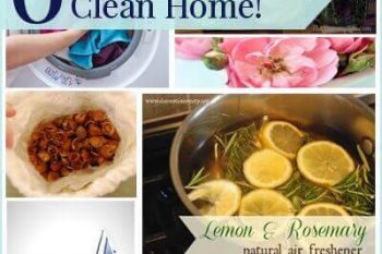 6 Steps To a Naturally Clean Home {Plus 48 recipes} 1