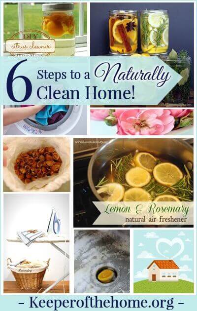 6 Steps To a Naturally Clean Home {Plus 48 recipes} 1