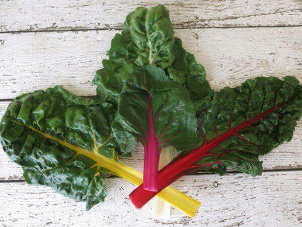 Swiss Chard Varieties