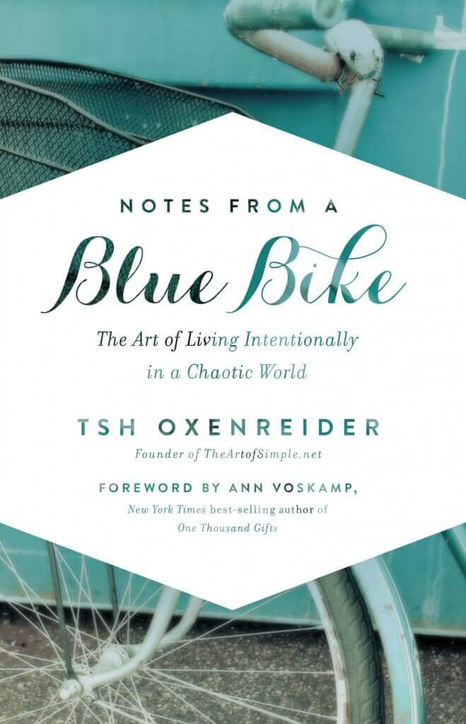blue-bike-cover