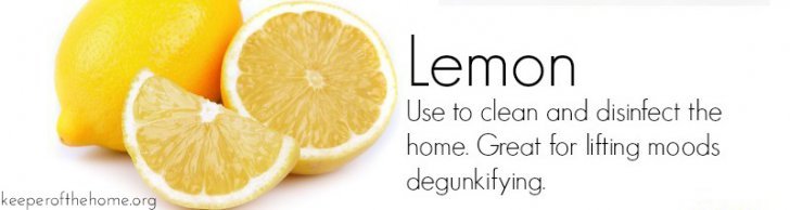 Lemon: Top 8 Essential Oils for Home Use {KeeperoftheHome.org}