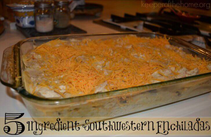 5-Ingredient Southwestern Enchiladas