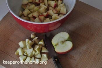 Cinnamon Apple Salad Recipe: A Perfect Holiday Side Dish 6