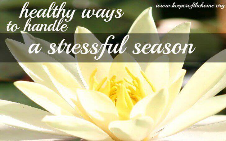 Healthy Ways To Handle Seasons of Stress