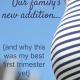 Our family's new addition {and why this was my best first trimester yet} 6
