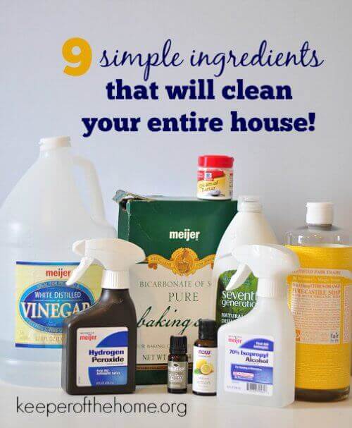 Cleaning your house naturally doesn't have to be expensive, time consuming, or require much at all! Just take these nine simple ingredients to get your start. 