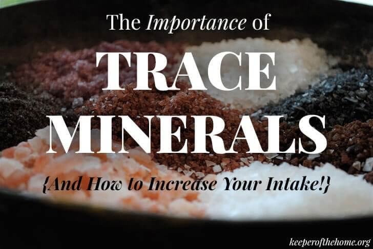 How do you make sure that you and your family are getting enough trace minerals in your diet?