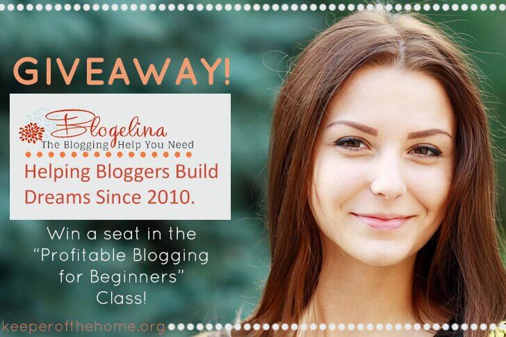 Blogelina Giveaway: Win a Seat In Blogelina's "Profitable Blogging For Beginners" Class