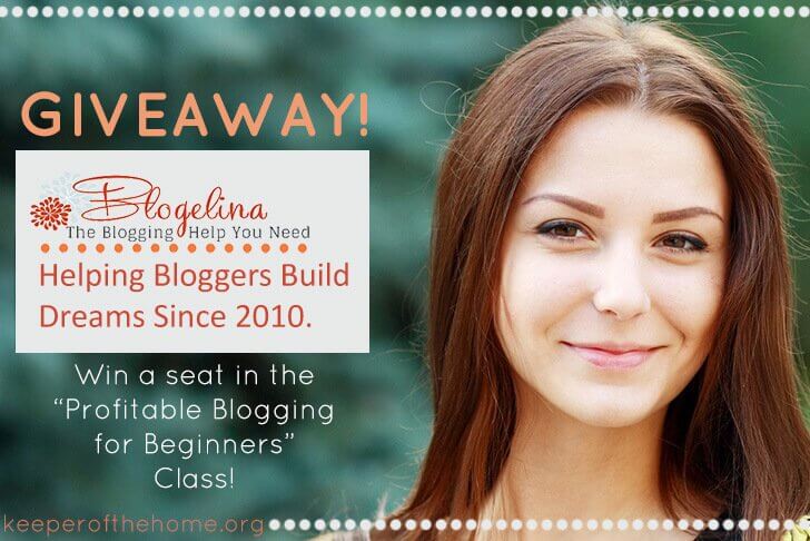 Blogelina Giveaway: Win a Seat In Blogelina’s “Profitable Blogging For Beginners” Class