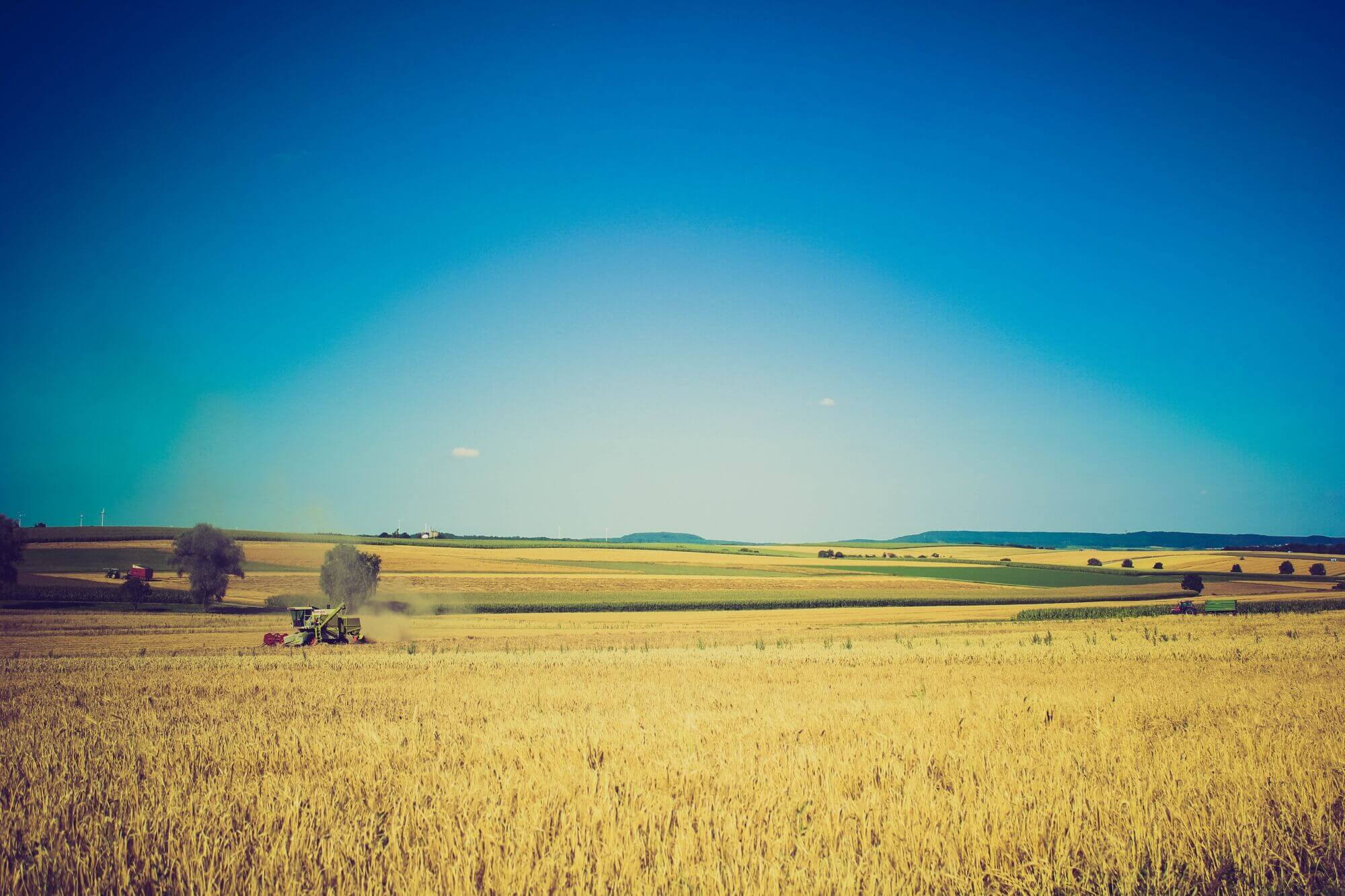 agriculture-cereals-combine-harvester-836