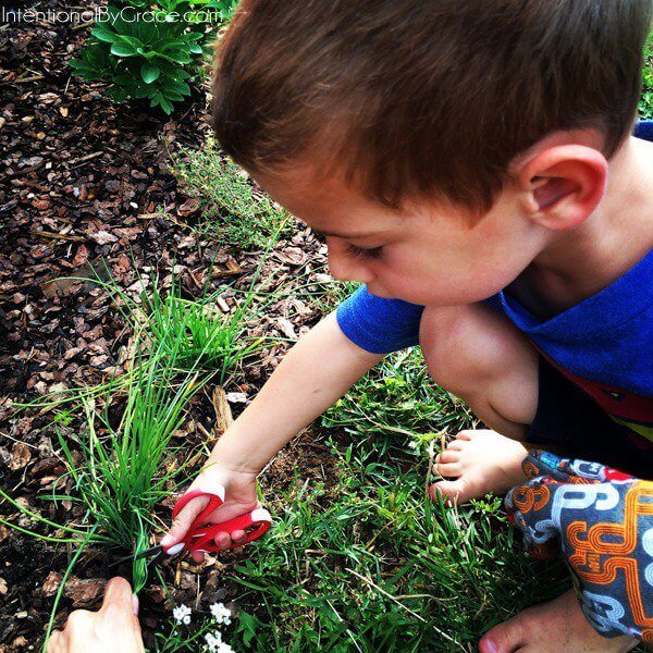 Childhood is all about exploring and learning to love gardening. Don't force time with your toddlers and preschoolers in the garden. Rather, play into their curiosity and make being with you in the garden fun. 