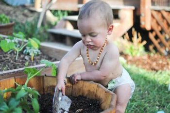 10 Ways to Include Toddlers and Preschoolers in the Garden 6