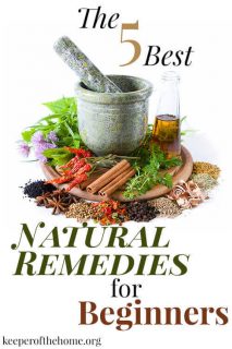 The 5 Best Natural Remedies For Beginners - Keeper Of The Home