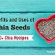 Benefits and Uses of Chia Seeds (Plus 50 Chia Recipes) 4