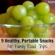 9 Healthy, Portable Snacks for Family Road Trips 3