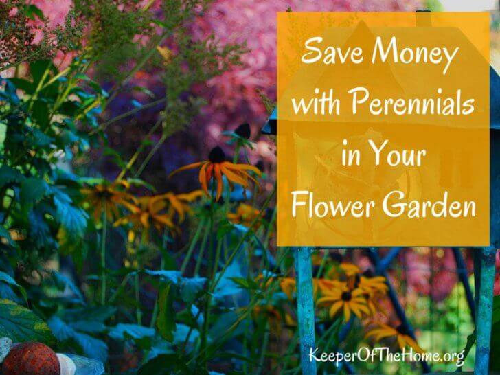 To stretch my flower gardening budget, I choose to save money with perennials because they’ll come back year after year – and they’ll multiply.