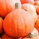 The Great Pumpkin: 5 Ways to Enjoy the Season with Real Pumpkins 6