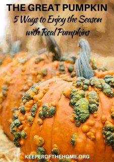 The Great Pumpkin: 5 Ways to Enjoy the Season with Real Pumpkins ...