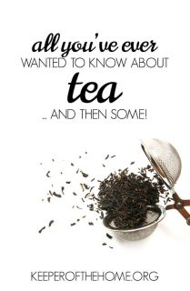 All About Brewing Tea... and then some!