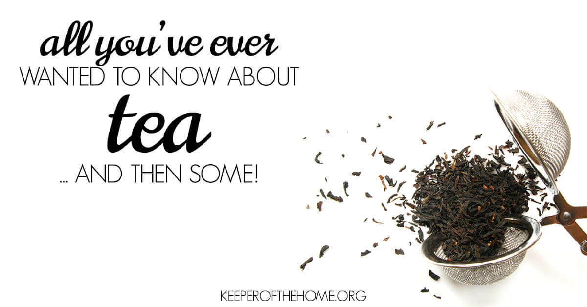 All About Brewing Tea... and then some!