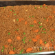 One way to bring history and traditions home is through food. I was surprised at how much my kiddos loved shepherd’s pie. I substituted beef for the lamb and made it a bit healthier, but they got the idea! Here is the recipe I use for my healthy shepherd’s pie recipe for a family of 8 or for the enjoyment of leftovers. Enjoy!