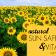 Natural Sun Safety and Vitamin D 1