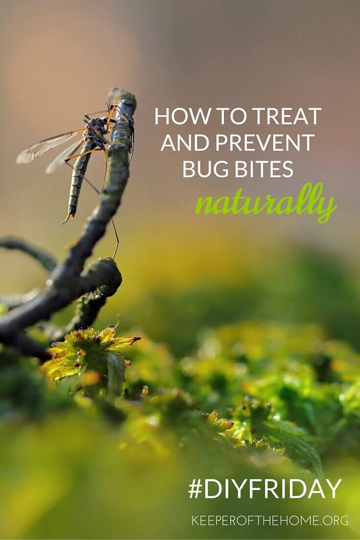 It's not as hard as you think to treat and prevent bug bites naturally. Stay away from the harmful chemicals with these tips.
