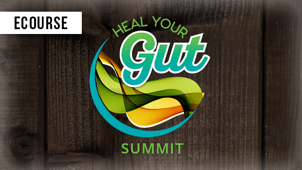 heal-your-gut-summit_2x