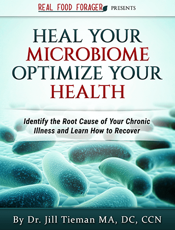 heal-your-microbiome_2x