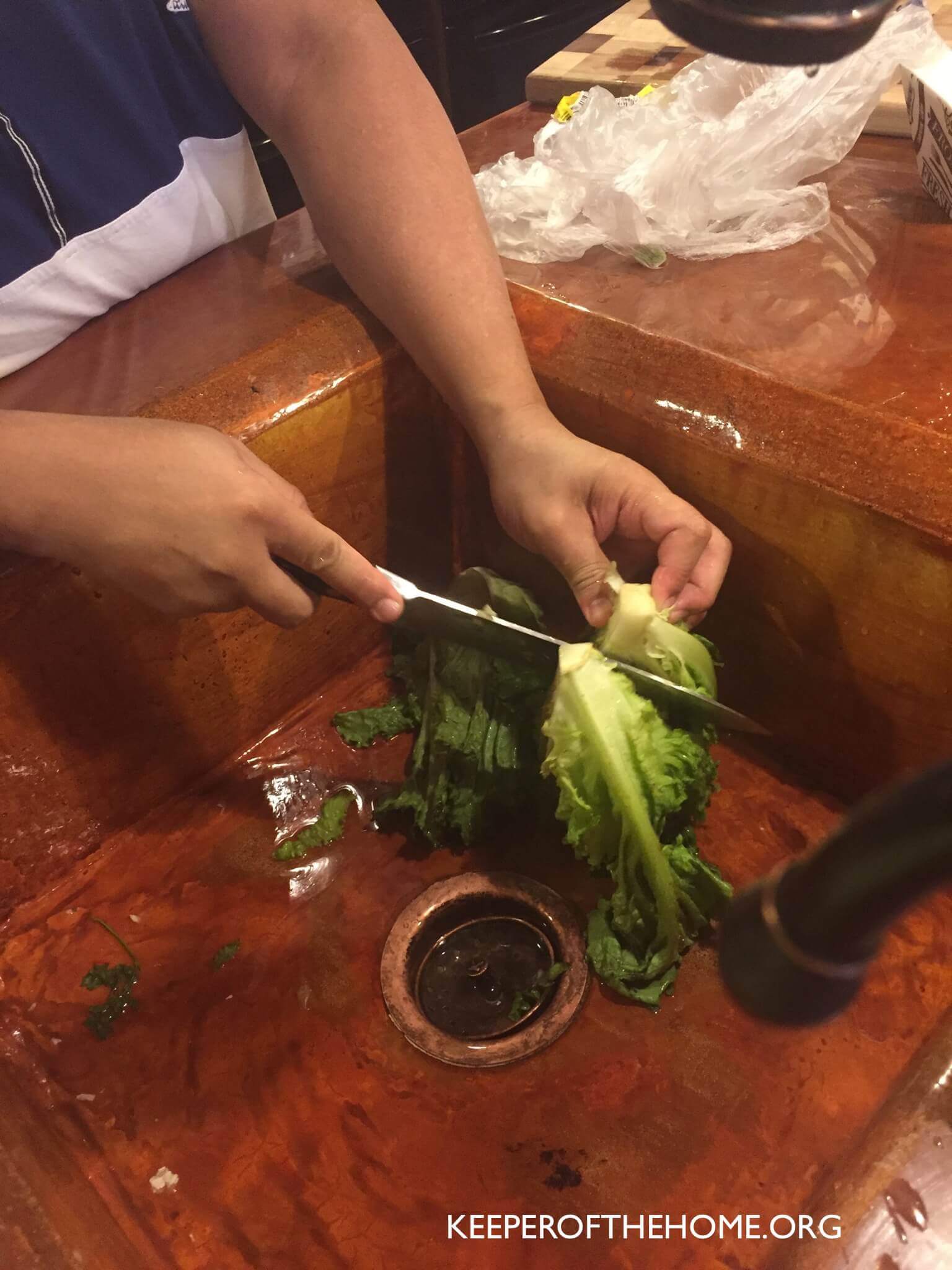 After testing it out for myself, EVERYONE should know how to stir-fry lettuce! Not only is it easy-peasy, but it's delicious (even the kids devoured it!).