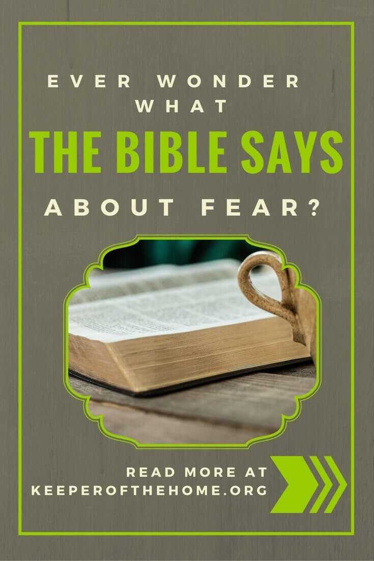 I wondered to myself, "What does the Bible say about fear?" So I looked it up, and this is what I found...and this is what I experienced in my prayer as a result.