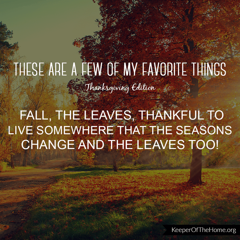 Here are a few of my favorite Thanksgiving things. The leaves! What are yours?