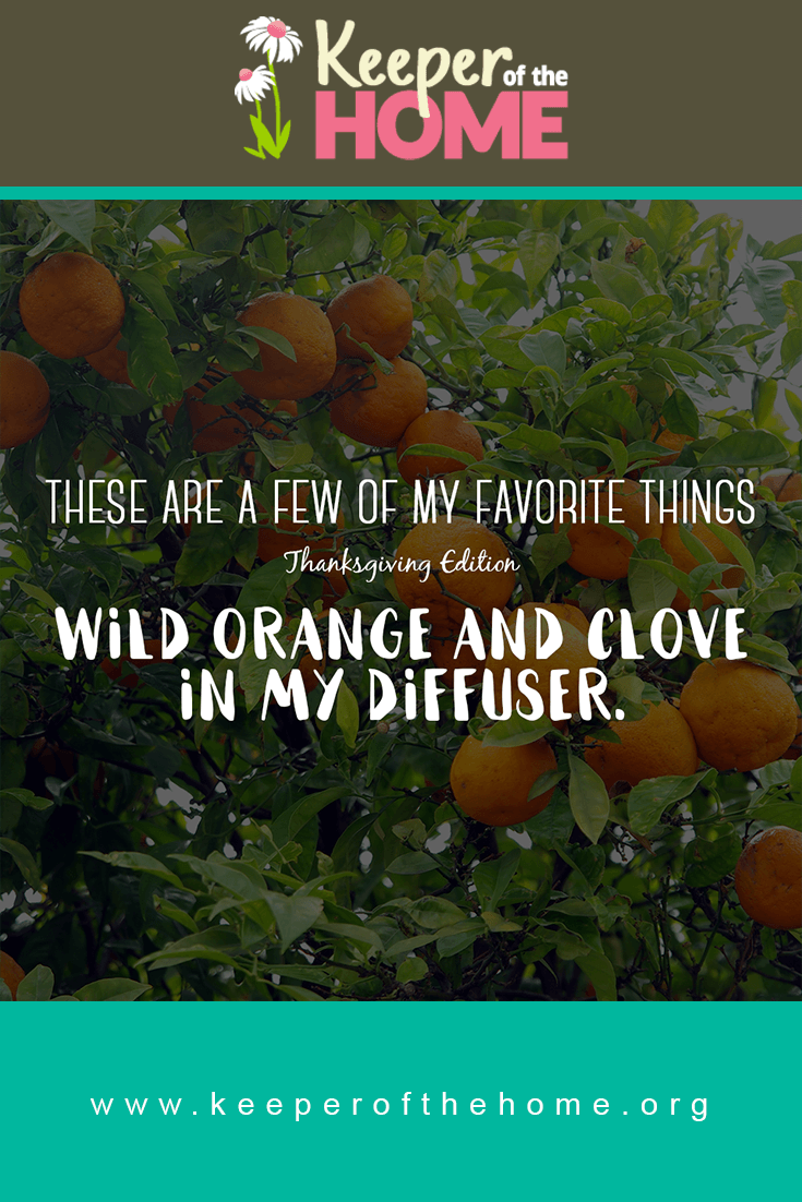 Here are a few of my favorite Thanksgiving things. Wild orange + clove in the diffuser! What are yours?