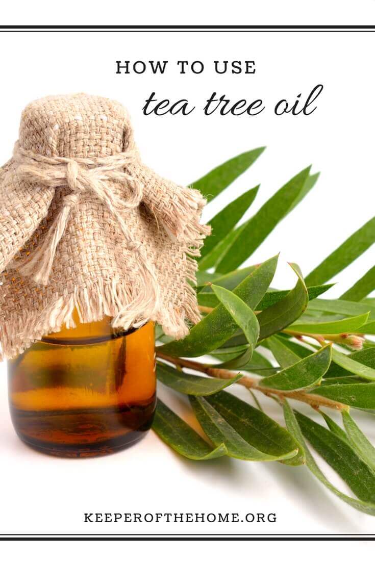 This is a guide that will help you learn how to use tea tree oil around your home and beyond. We've also included some handy recipes to help you.