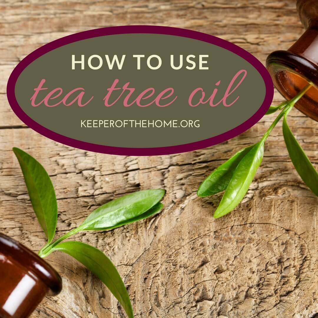 This is a guide that will help you learn how to use tea tree oil around your home and beyond. We've also included some handy recipes to help you.