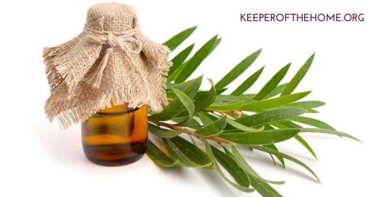 How to Use Tea Tree Oil (and Some Favorite Recipes)
