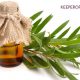 This is a guide that will help you learn how to use tea tree oil around your home and beyond. We've also included some handy recipes to help you.