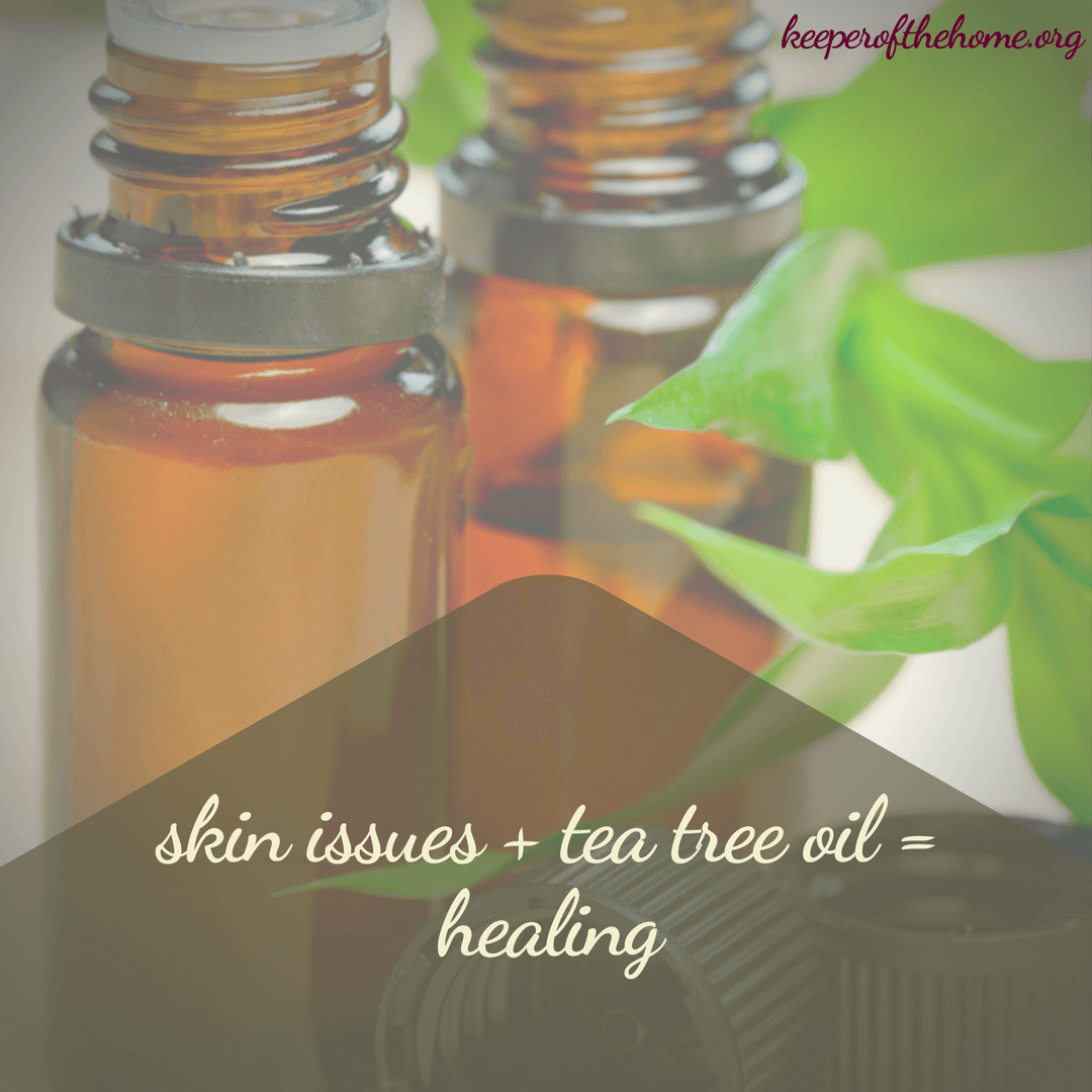 Tea tree oil benefits