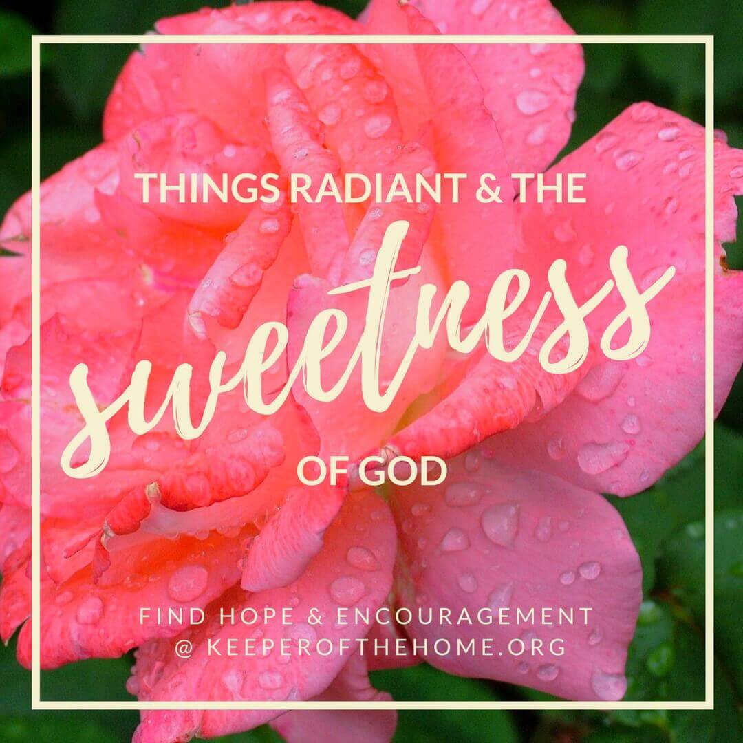 The sweetness of God is a fundamental part of the honeycomb of faith. Join contributor Janie Seltzer as she explores it with us.