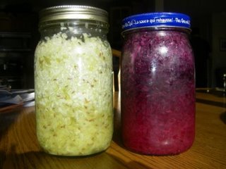 Baby Steps Eating Cultured And Fermented Foods Keeper Of The Home